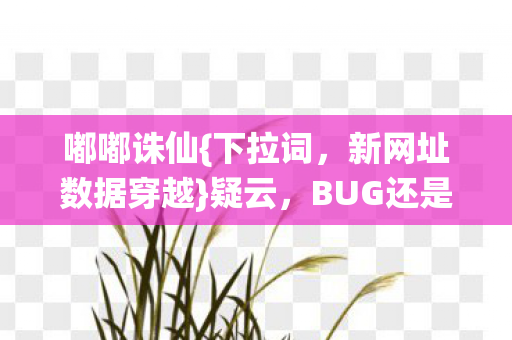 新网址数据穿越图片