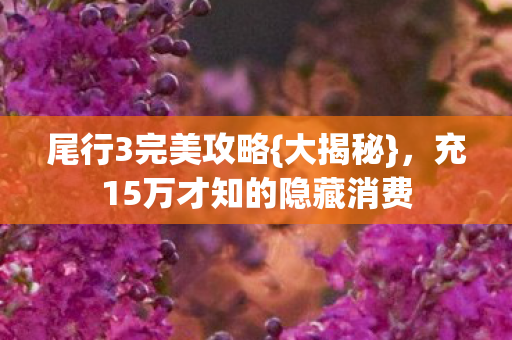 充15万才知的隐藏消费图片