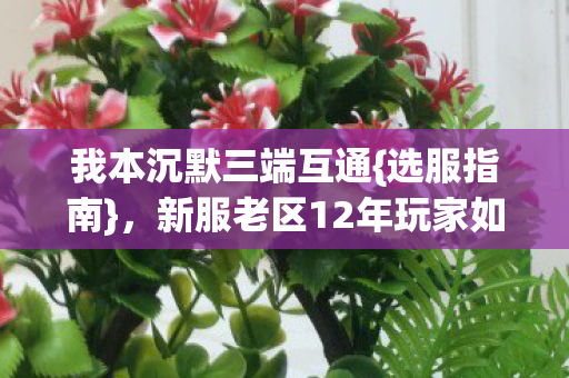 新服老区12年玩家如何选图片