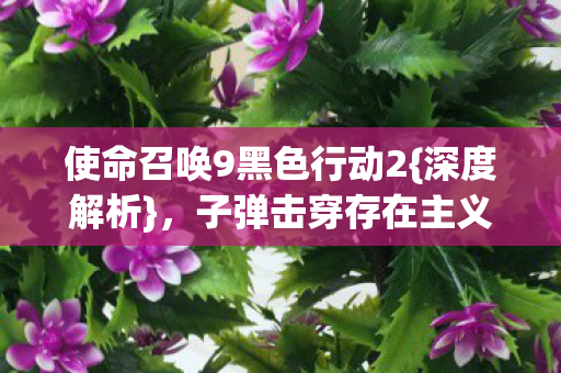 使命召唤9黑色行动2图片