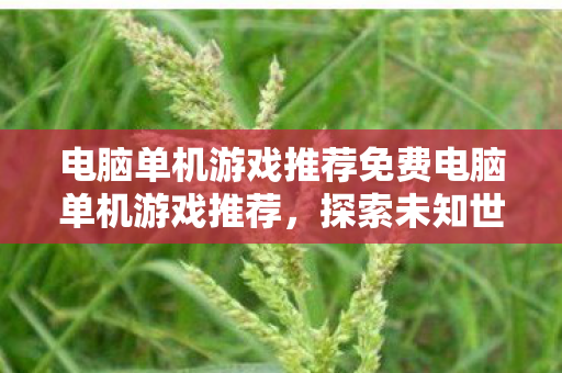 电脑单机游戏推荐免费电脑单机游戏推荐图片