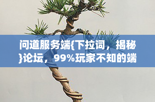 问道服务端{下拉词，揭秘}论坛，99%玩家不知的端游私服惊天秘密！