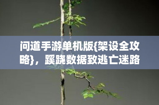 问道手游单机版{架设全攻略}，蹊跷数据致逃亡迷路