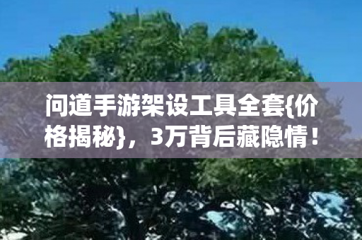 问道手游架设工具全套{价格揭秘},3万背后藏隐情! 问道手游架设工具全套{价格揭秘},3万背后藏隐情!
