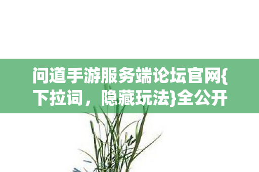问道手游服务端论坛官网{下拉词,隐藏玩法}全公开 问道手游服务端论坛官网{下拉词,隐藏玩法}全公开
