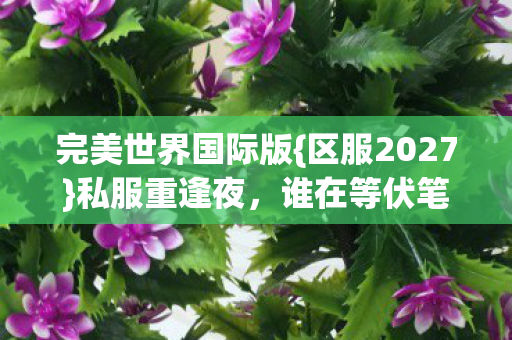 完美世界国际版{区服2027}私服重逢夜,谁在等伏笔成谶? 完美世界国际版{区服2027}私服重逢夜,谁在等伏笔成谶?