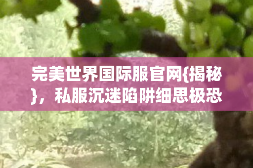 完美世界国际服官网{揭秘},私服沉迷陷阱细思极恐 完美世界国际服官网{揭秘},私服沉迷陷阱细思极恐