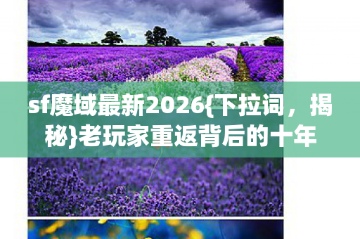 老玩家重返背后的十年心酸图片