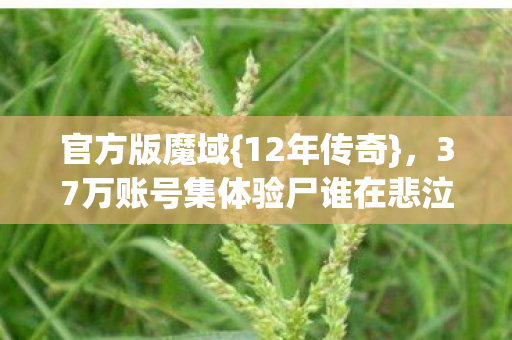 37万账号集体验尸谁在悲泣图片