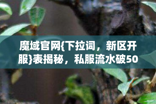私服流水破50万隐情图片
