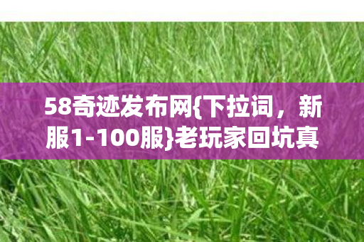 老玩家回坑真相揭秘图片
