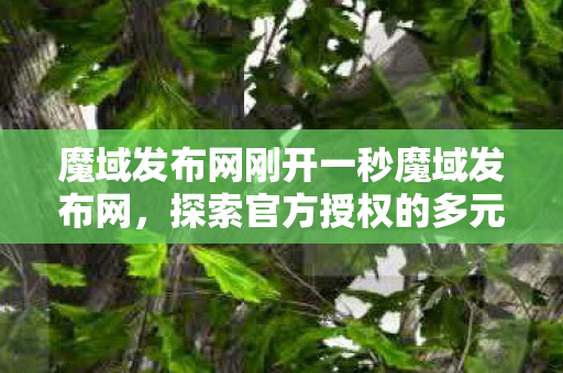 魔域发布网刚开一秒魔域发布网图片