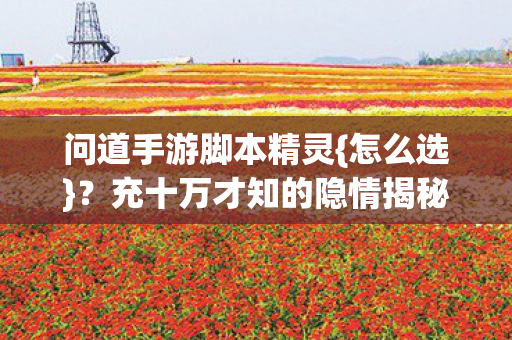 问道手游脚本精灵{怎么选}?充十万才知的隐情揭秘 问道手游脚本精灵{怎么选}?充十万才知的隐情揭秘
