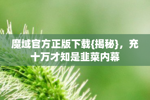 充十万才知是韭菜内幕图片