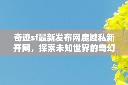 奇迹sf最新发布网魔域私新开网图片