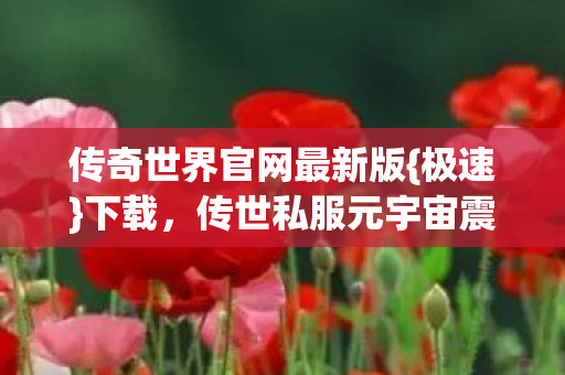 传奇世界官网最新版{极速}下载,传世私服元宇宙震撼来袭 传奇世界官网最新版{极速}下载,传世私服元宇宙震撼来袭