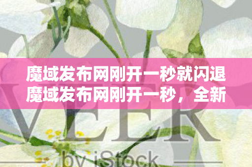 魔域发布网刚开一秒就闪退魔域发布网刚开一秒图片