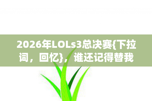 谁还记得替我扛BOSS的TA图片