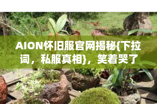 AION怀旧服官网揭秘{下拉词,私服真相},笑着哭了成执念 AION怀旧服官网揭秘{下拉词,私服真相},笑着哭了成执念