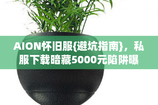 AION怀旧服{避坑指南}，私服下载暗藏5000元陷阱曝光