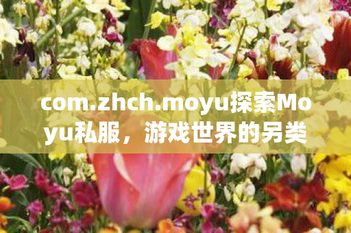 moyu探索Moyu私服图片