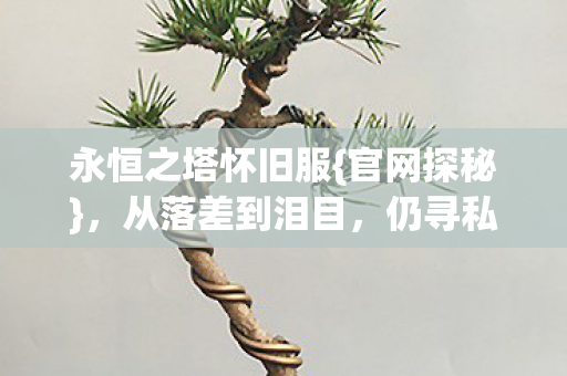永恒之塔怀旧服{官网探秘}，从落差到泪目，仍寻私服踪