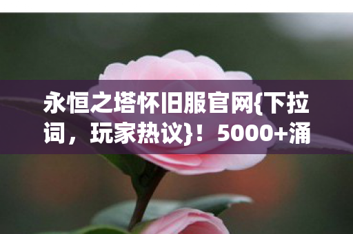 永恒之塔怀旧服官网{下拉词，玩家热议}！5000+涌入私服疑云