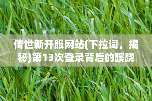 第13次登录背后的蹊跷真相图片