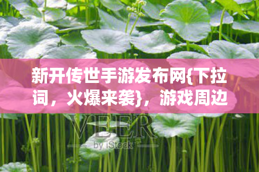 新开传世手游发布网{下拉词,火爆来袭},游戏周边多到惊人! 新开传世手游发布网{下拉词,火爆来袭},游戏周边多到惊人!