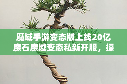 魔域手游变态版上线20亿魔石魔域变态私新开服图片