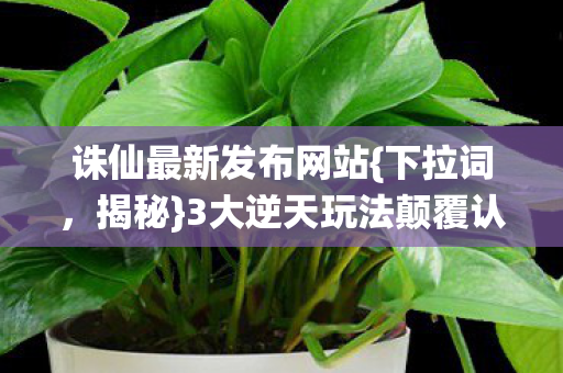 3大逆天玩法颠覆认知图片