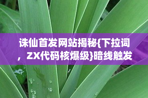诛仙首发网站揭秘图片
