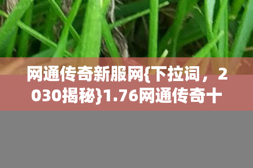 76网通传奇十年惊天秘密图片