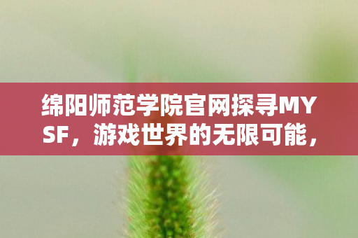 绵阳师范学院官网探寻MYSF图片