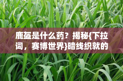 鹿盔是什么药?揭秘{下拉词,赛博世界}暗线织就的神经跃迁 鹿盔是什么药?揭秘{下拉词,赛博世界}暗线织就的神经跃迁