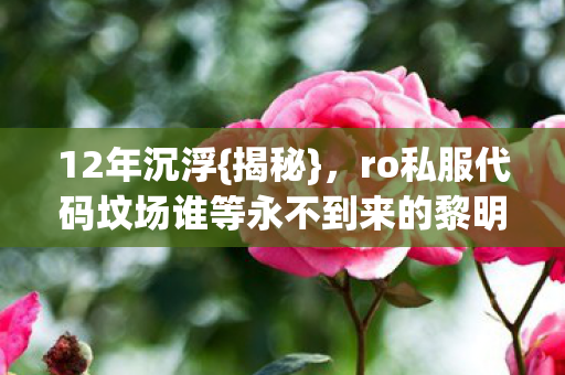 ro私服代码坟场谁等永不到来的黎明图片