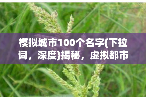 模拟城市100个名字{下拉词,深度}揭秘,虚拟都市兴衰泪目史 模拟城市100个名字{下拉词,深度}揭秘,虚拟都市兴衰泪目史