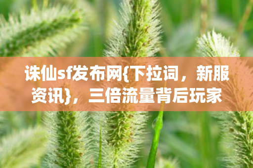 三倍流量背后玩家心寒真相图片