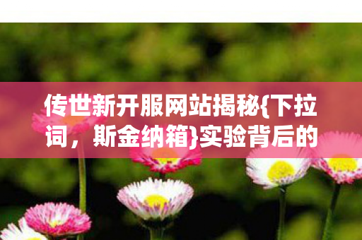 传世新开服网站揭秘{下拉词,斯金纳箱}实验背后的沉迷陷阱 传世新开服网站揭秘{下拉词,斯金纳箱}实验背后的沉迷陷阱