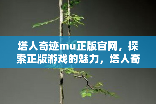 探索正版游戏的独特魅力图片