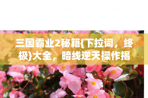 三国霸业2秘籍{下拉词，终极}大全，暗线逆天操作揭秘