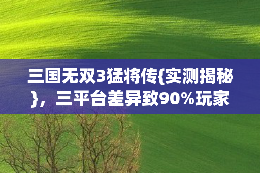 三国无双3猛将传{实测揭秘},三平台差异致90%玩家弃主机端? 三国无双3猛将传{实测揭秘},三平台差异致90%玩家弃主机端?