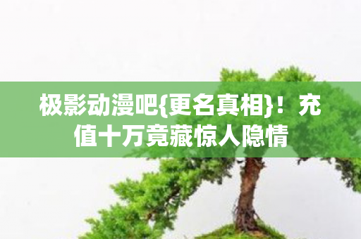 极影动漫吧{更名真相}!充值十万竟藏惊人隐情 极影动漫吧{更名真相}!充值十万竟藏惊人隐情