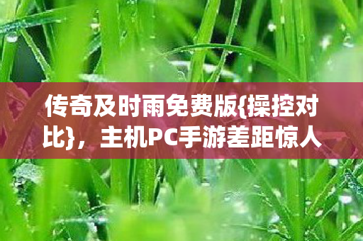 传奇及时雨免费版{操控对比}，主机PC手游差距惊人！