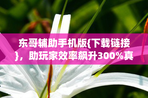 东哥辅助手机版{下载链接}，助玩家效率飙升300%真相揭秘