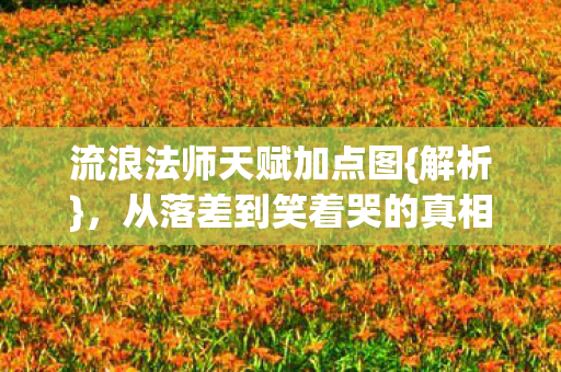 流浪法师天赋加点图{解析}，从落差到笑着哭的真相