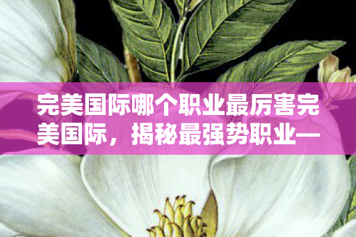 完美国际哪个职业最厉害完美国际图片