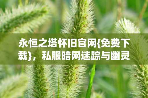 永恒之塔怀旧官网{免费下载}，私服暗网迷踪与幽灵玩家揭秘