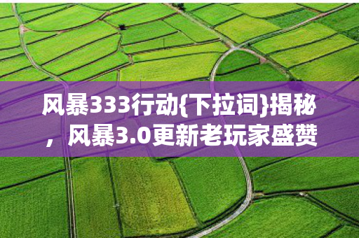 风暴333行动{下拉词}揭秘,风暴3.0更新老玩家盛赞绝了 风暴333行动{下拉词}揭秘,风暴3.0更新老玩家盛赞绝了