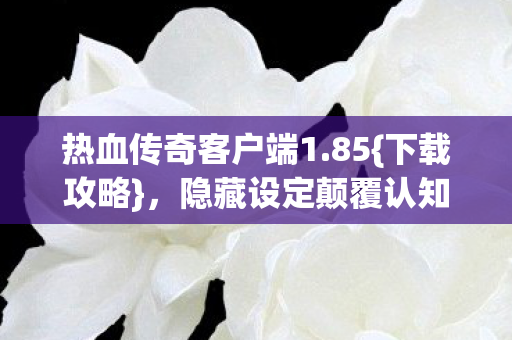 热血传奇客户端1.85{下载攻略},隐藏设定颠覆认知! 热血传奇客户端1.85{下载攻略},隐藏设定颠覆认知!